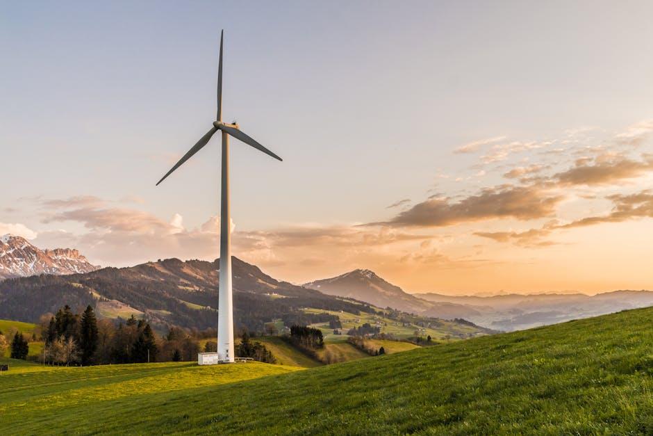 Sustainability and Sourcing: A Deeper Look into Ethical Ingredients