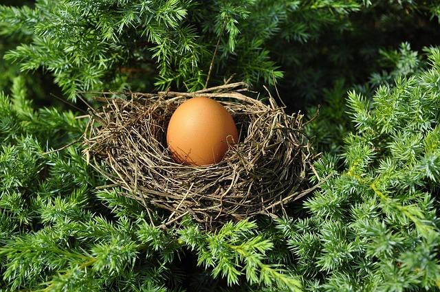 Enhancing Your Smart Home Experience with Nest Audio