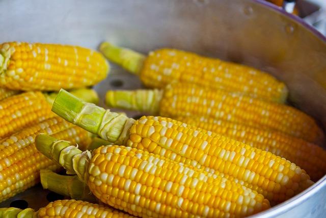 Exploring the Benefits of Non-GMO Ingredients for Health Enthusiasts