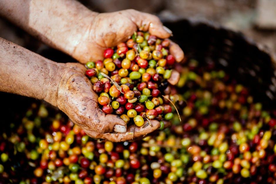 Sustainable Sourcing: How Future Kind Champions Eco-Friendly Ingredients