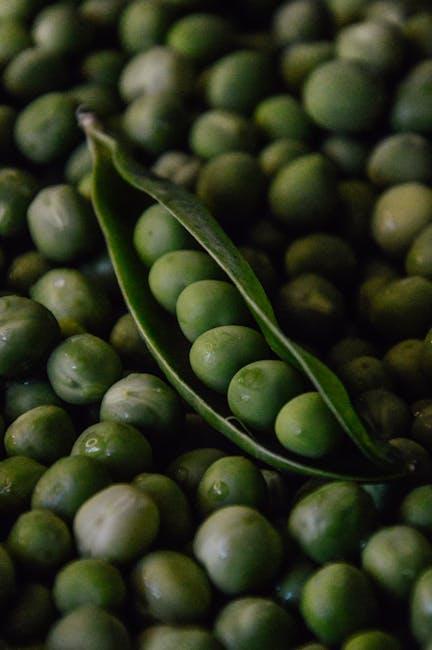 Understanding the Nutritional Powerhouse of Future Kind Vegan Multivitamin