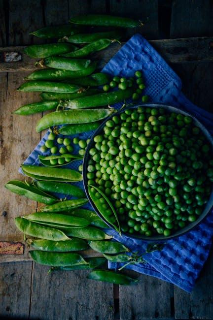 Exploring the Benefits of Organic Protein for Active Lifestyles
