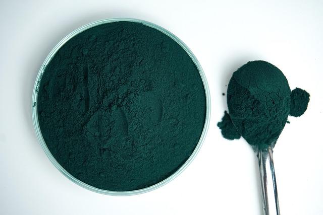 Comparative Insights: Choosing the Right Vegan Protein Powder for Your Goals