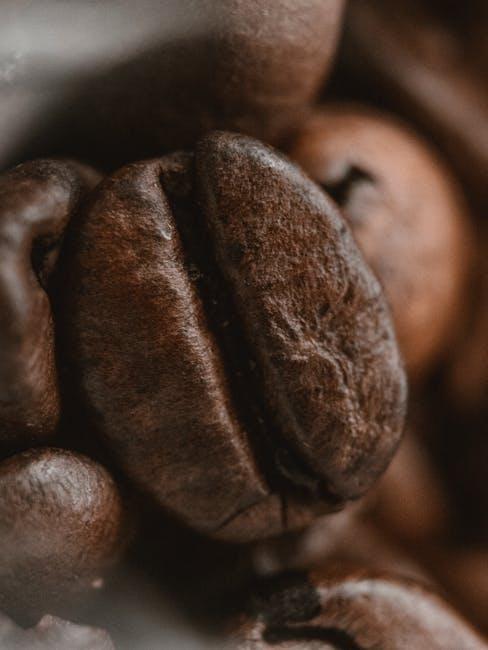 Understanding Ingredient Quality and Sourcing Choices