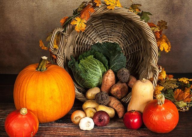 Exploring the Ingredients: Why Future Kind Stands Out for Vegan Nutrition