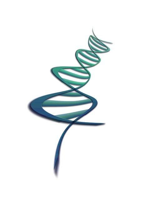 The Nutritional Edge: Comparing Amino Acid Profiles