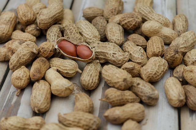 Timing Your Protein Intake for Maximum Benefits