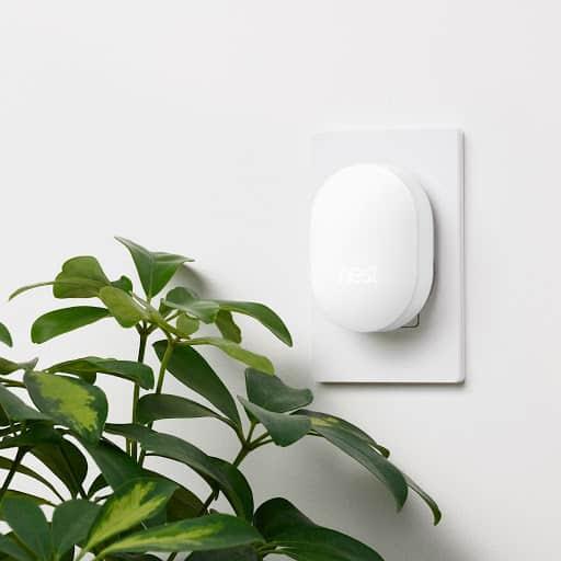 Exploring the Benefits of Google Nest Connect for Smart Home Enthusiasts